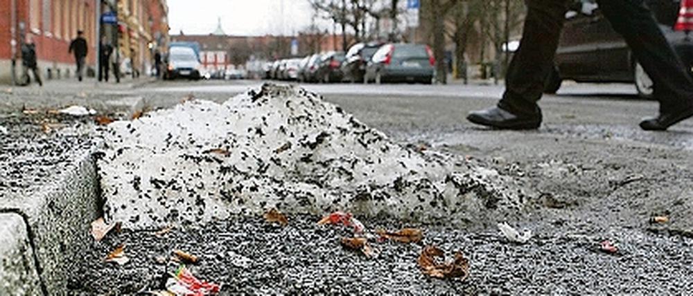 Schmuddelige Hinterlassenschaften. Bis Ostern will die Stadt alle Überreste des Winters, wie zermatschte Silvesterböller oder dreckige Schneehaufen, beseitigt haben.
