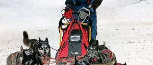 Wieder Weltmeister. Nach zwei WM-Titeln in Folge hat sich Dirk Grünberg aus Rehbrücke nun vom internationalen Rennschlittensport verabschiedet.