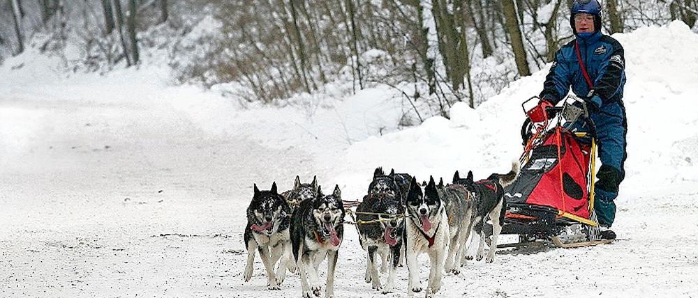Als Titelverteidiger durchs Erzgebirge. Dirk Grünberg , hier beim Training im heimischen Rehbrücke, will seine internationale Laufbahn mit erneutem WM-Gold beenden.