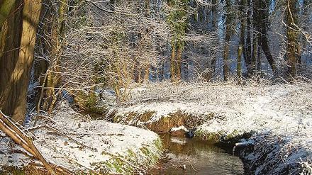 Werbung für den Fläming: Den Wanderern wird neben den bekannten vier Burgen eine einzigartige Natur mit idyllische Fließen versprochen.