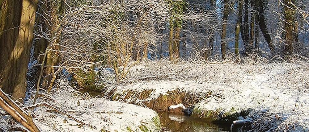 Werbung für den Fläming: Den Wanderern wird neben den bekannten vier Burgen eine einzigartige Natur mit idyllische Fließen versprochen.