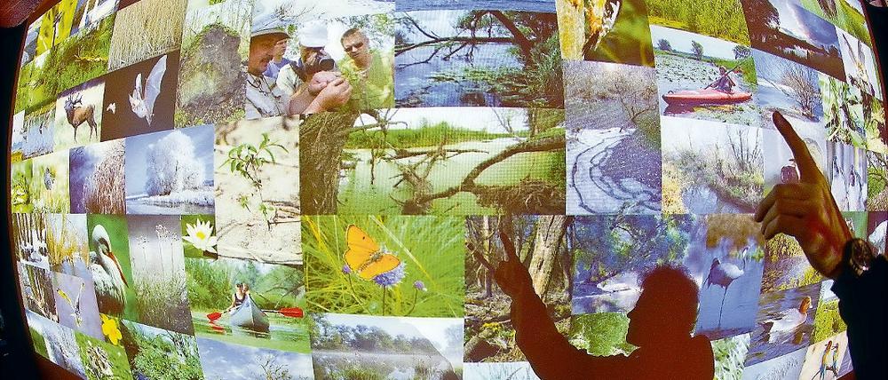 Im Jahr 2095. Neue multimediale Schau im Nationalparkhaus.