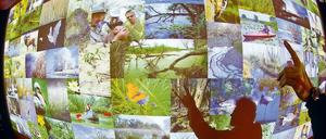 Im Jahr 2095. Neue multimediale Schau im Nationalparkhaus.