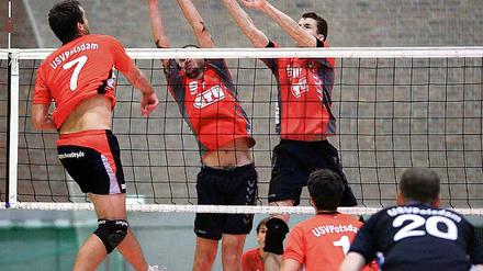 Ziel Bundesliga. Steffen Schäperkötter (r.) und Torsten Baus  hier am Netz gegen Christian Grapenin (USV Potsdam/l.) in Aktion  wollen mit der WSG aufsteigen.