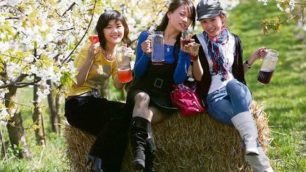 So soll es werden: Die Gäste des Blütenfestes werden auf die Obsthöfe gelockt.