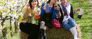So soll es werden: Die Gäste des Blütenfestes werden auf die Obsthöfe gelockt.