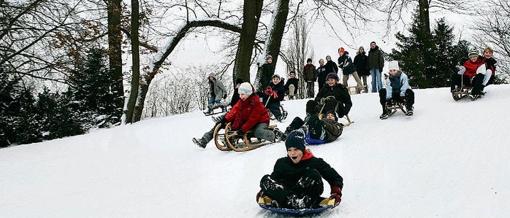 Winterspaß in Potsdam: Rodeln im Neuen Garten.