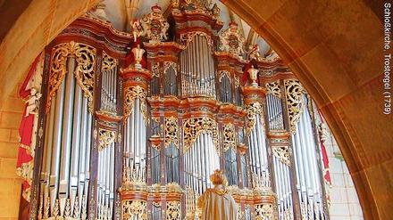 Kultur entdecken. Wie hier die prachtvolle Orgel in der Schlosskirche in Altenburg.