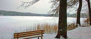 Kostbare Idylle: Um den Seddiner See zu erhalten, soll Wasser aus der Beelitzer Nieplitz herangeholt werden. Von einem Wehr bei Schlunkendorf aus soll eine Rohrleitung nach Kähnsdorf verlegt werden. Hier wird das Wasser gereinigt und dann in den See eingespeist. Kostenpunkt: 3,5 Millionen Euro.