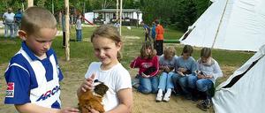 Streicheleinheiten für putzige Nager. Auch die Betreiber des Kinderdorfes würden sich über mehr Zuwendung freuen.