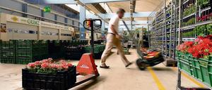 Museal statt floral. Der Berliner Blumengroßmarkt zieht in wenigen Wochen von der Friedrichstraße in Kreuzberg an die Tiergartener Beusselstraße um. Damit ist der Weg frei für eine neue Nutzung der Halle.