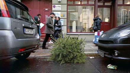 Entschmückte Bäume bringt die Müllabfuhr demnächst zum Kompost.