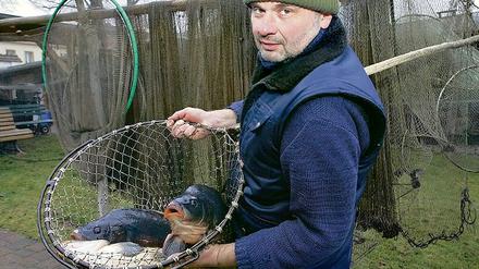 Noch leben sie: Mario Weber, ansässig an der Großen Fischerstraße, mit zwei Exemplaren der Sorte Cyprinus carpio.
