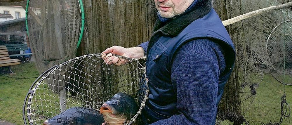 Noch leben sie: Mario Weber, ansässig an der Großen Fischerstraße, mit zwei Exemplaren der Sorte Cyprinus carpio.