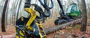 Erntezeit. Im Forstrevier Chorin (Barnim) hat ein Forstarbeiter in einem Harvester, eine vollautomatische Holzerntemaschine, eine Kiefer abgesägt.