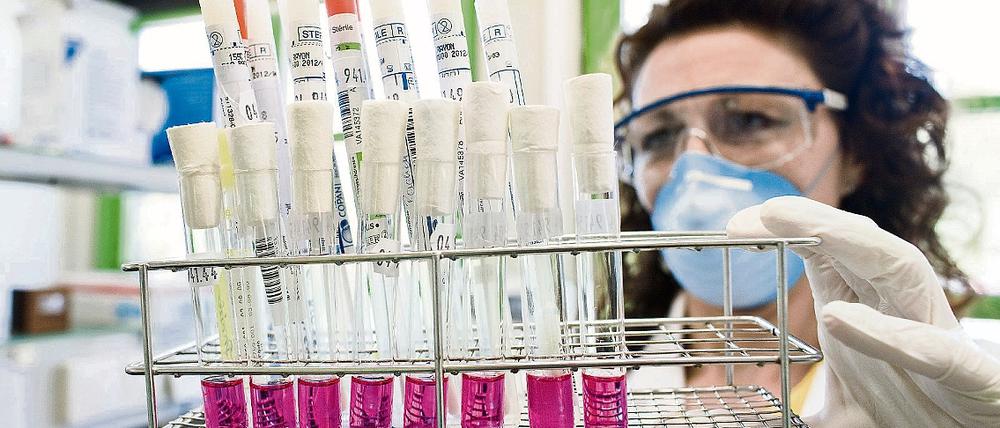 Weniger Labortests. Die Infektionen mit dem H1N1-Virus gehen in Berlin und im Umland zurück, die Labore müssen nur noch vereinzelte Verdachtsfälle untersuchen.