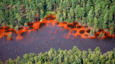 Roter Fluss. Das Luftbild zeigt die von Eisen verfärbte Spree bei Spremberg.