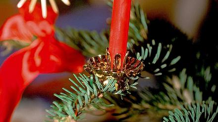 Trend zum Zweitbaum  rund 29 Millionen Weihnachtsbäume wurden in diesem Jahr aufgestellt.