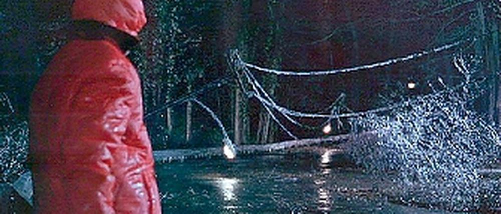 Chaotische Verhältnisse. Der Film Der Eissturm von Ang Lee.