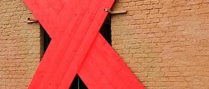 Anspielungsreich. Margaret Hunter zeigt ihr Mauerbild Joint Venture (oben), Kiki Gebauer provoziert mit einer Verbarrikadierung, Bettina Schilling ist mit der Collage Zuzug vertreten und Katrin von Lehmann befragt sich in ihrer Fotoflechtung selbst (unten, von links).