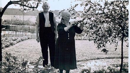 Franz und Erna Klockow in ihrem Kleingarten am Pfingstberg.