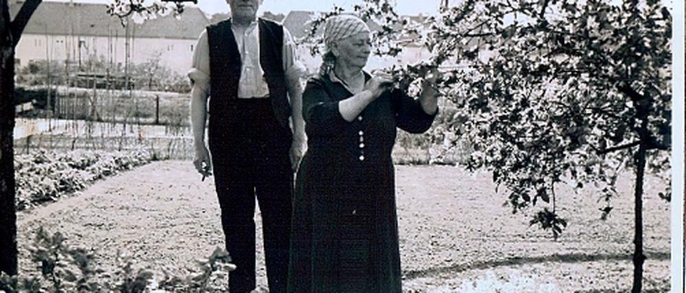 Franz und Erna Klockow in ihrem Kleingarten am Pfingstberg.