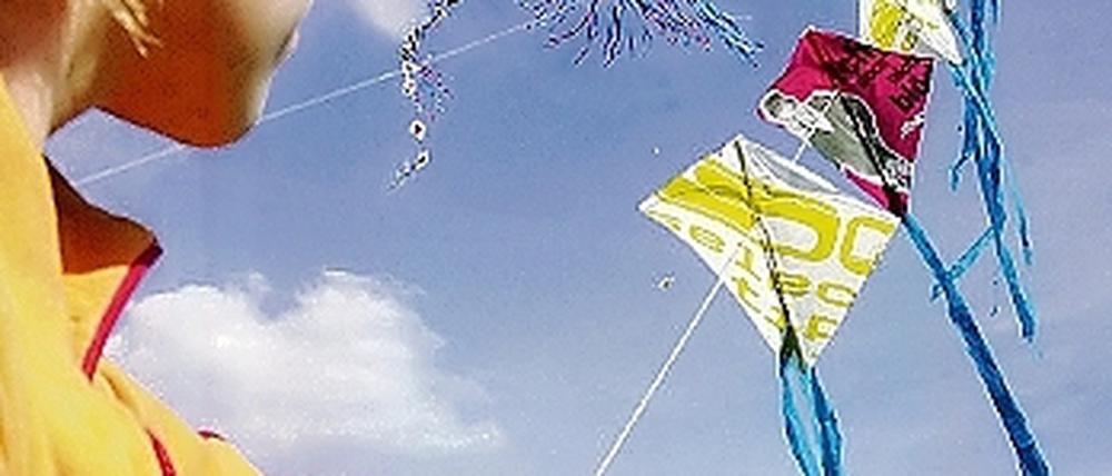 Das Drachenfest im Volkspark zählt zu den beliebstesten Festen dort. Auch die Campingnacht soll 2010 wieder stattfinden.