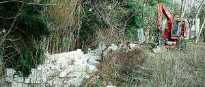 Die Reste der Mauer: 22 Jahre schützte sie Rosmarie Utechts Eigentum.