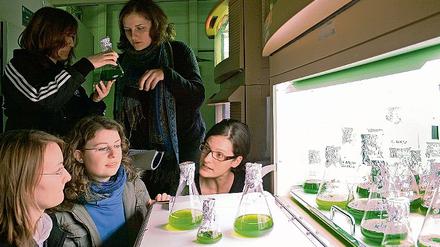 Photosynthese und Biomasse. Schülerinnen besuchten das MPI-Labor.