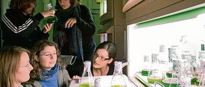 Photosynthese und Biomasse. Schülerinnen besuchten das MPI-Labor.
