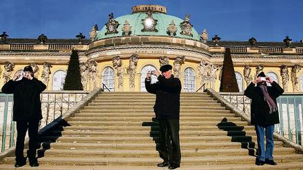 Potsdams Hauptattraktion neben dem Krongut Bornstedt ist nach wie vor das Schloss Sanssouci. Rund 331 100 Menschen besichtigten das Bauwerk im Jahr 2008.