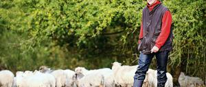 Katrin Todt sorgt mit ihren Schafen für das Überleben der Adonisröschen.