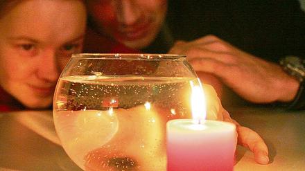 Wie bricht sich das Licht? Anja und Ingo von Hübbenet experimentierten.