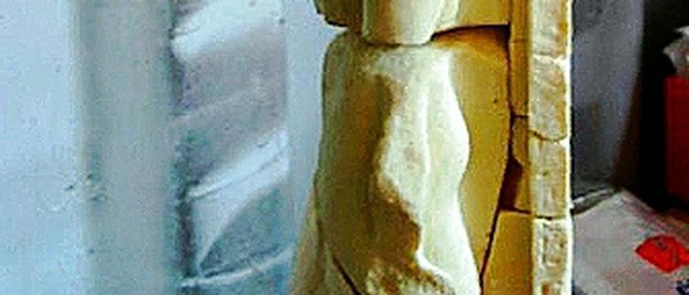 Konserviert. Die monumentale Statue wird für die Nachwelt erhalten.