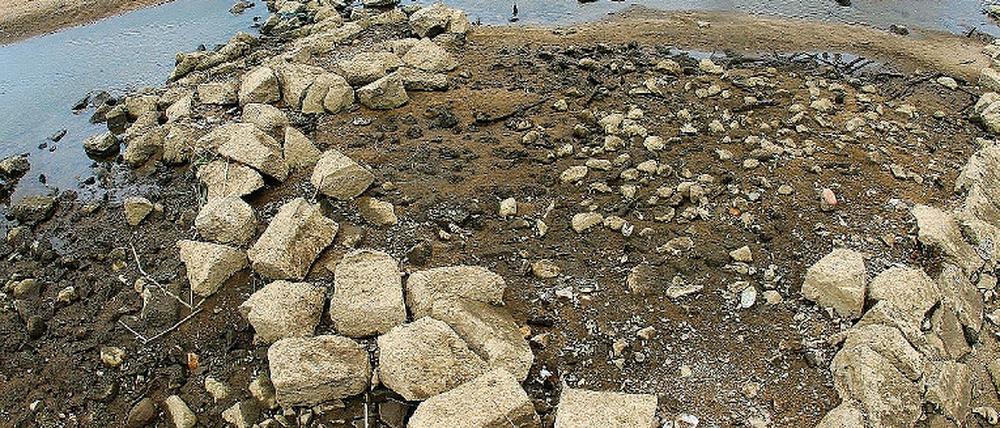 Trockene Oder. Buhnen und Sandbänke dominieren derzeit.
