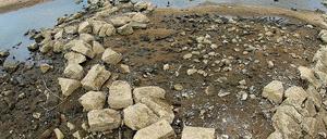 Trockene Oder. Buhnen und Sandbänke dominieren derzeit.