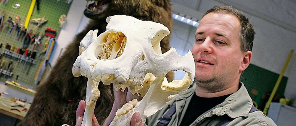Bär mit Schaumstoffkörper, echter Schädel und Präparator Blumenstein.