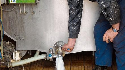 Milch marsch. Landwirt Jens Gerloff aus Teetz beim Milchablassen.