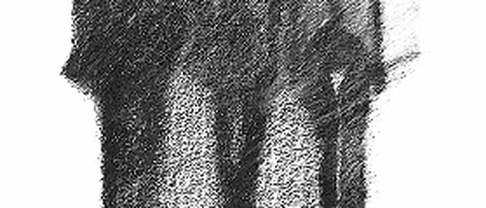 Gescheucht in den Schutz der Schatten von Andreas Rössiger.