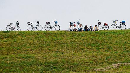 Auf dem Elbdeich. Der neue Damm in der Prignitz kann besichtigt werden.