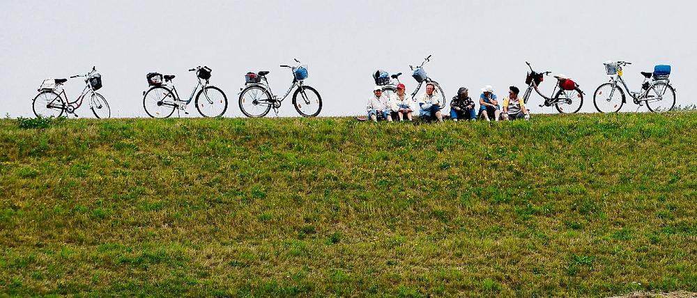 Auf dem Elbdeich. Der neue Damm in der Prignitz kann besichtigt werden.