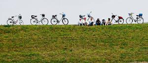 Auf dem Elbdeich. Der neue Damm in der Prignitz kann besichtigt werden.