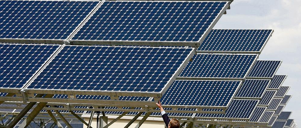 Strom von der Sonne: Wie hier bei Borna in Sachsen-Anhalt könnte auch auf den Stahnsdorfer Rieselfeldern ein große Solarkraftwerk entstehen, regt der Teltower Solarplaner und Linken-Stadtverordnete Wolfgang Köhn an.
