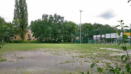 Neuer Standort der Sporthalle. An der Sandscholle soll die neue Sporthalle gebaut werden. Die Stadt stellt das Grundstück zur Verfügung, die Universität baut die Halle. Bis Ende 2011 könnte das Gebäude stehen.