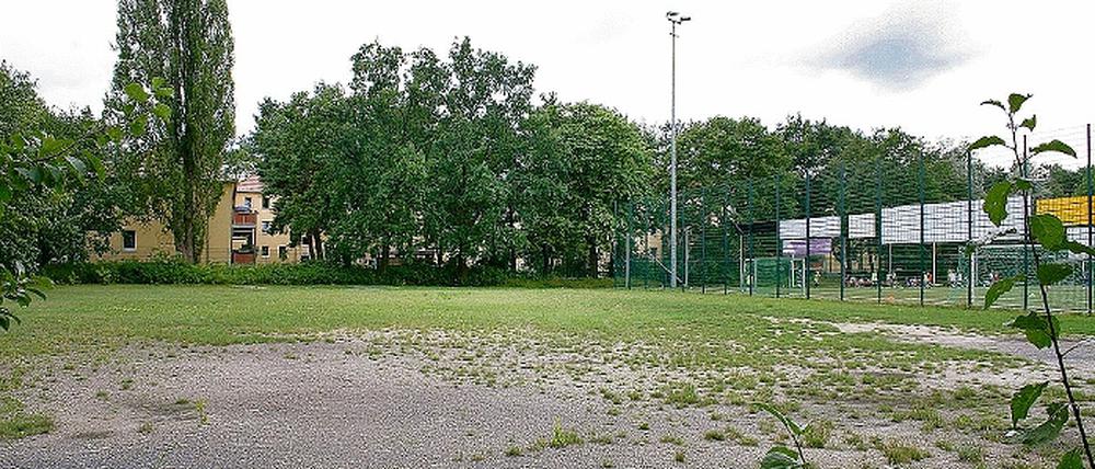 Neuer Standort der Sporthalle. An der Sandscholle soll die neue Sporthalle gebaut werden. Die Stadt stellt das Grundstück zur Verfügung, die Universität baut die Halle. Bis Ende 2011 könnte das Gebäude stehen.