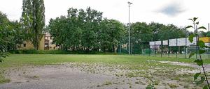 Neuer Standort der Sporthalle. An der Sandscholle soll die neue Sporthalle gebaut werden. Die Stadt stellt das Grundstück zur Verfügung, die Universität baut die Halle. Bis Ende 2011 könnte das Gebäude stehen.