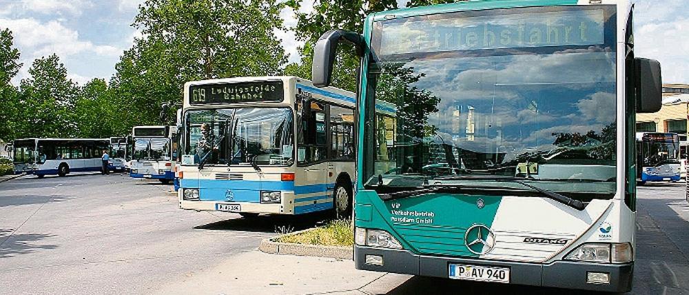 Grün und blau: Künftig werden 15 Havelbusse das Logo des ViP tragen. 40 Busfahrer und zwei Schlosser haben zudem bald einen ViP-Anzug an.
