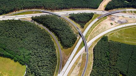 Für das Dreieck Nuthetal wurden knapp vier Kilometer Autobahn neu gebaut und ein 1,7 Kilometer langer Lärmschutzwall errichtet. Der Überflieger ist das wichtigste Bauwerk und überspannt als Brücke die A 10.