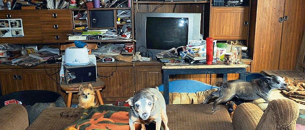 Krankhaft. Mehr als 250 verwahrloste Tiere wurden entdeckt.