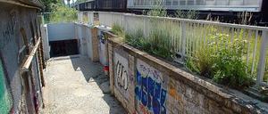 Ein trauriges Bild: Der Wilhelmshorster Bahnhof ist mit Graffiti beschmiert, der Eingang zum neuen Tunnel wirkt wenig einladend, und für ältere und behinderte Menschen ist es schwer, auf die andere Seite der Bahntrasse zu kommen.